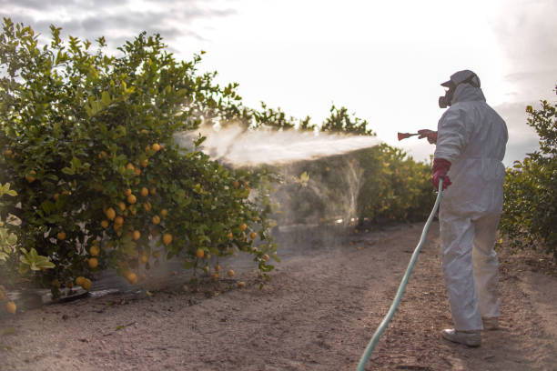 Best Pest Inspection Near Me  in Quincy, FL