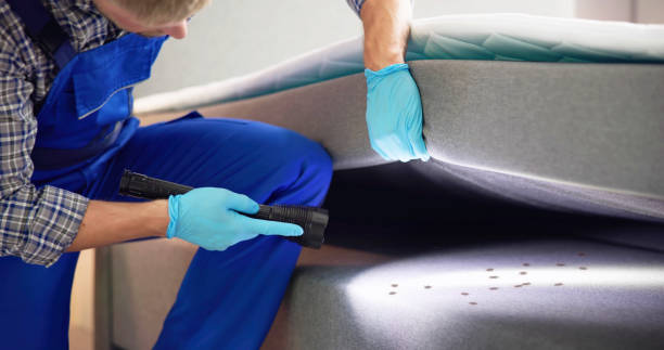 Best Residential Pest Control  in Quincy, FL